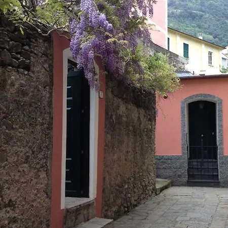 Il Giardino Incantato 招待所 蒙特罗索阿尔马雷